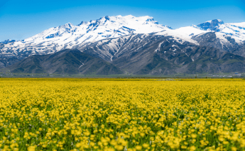 Hakkari Şırnak Turu